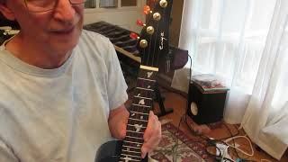 Which Ukulele to Buy? Oscar Schmidt OU6 Tenor or Enya EUC-M6 Concert.