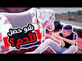 كرم وادم بتحدي ناري مع الثور 🧨