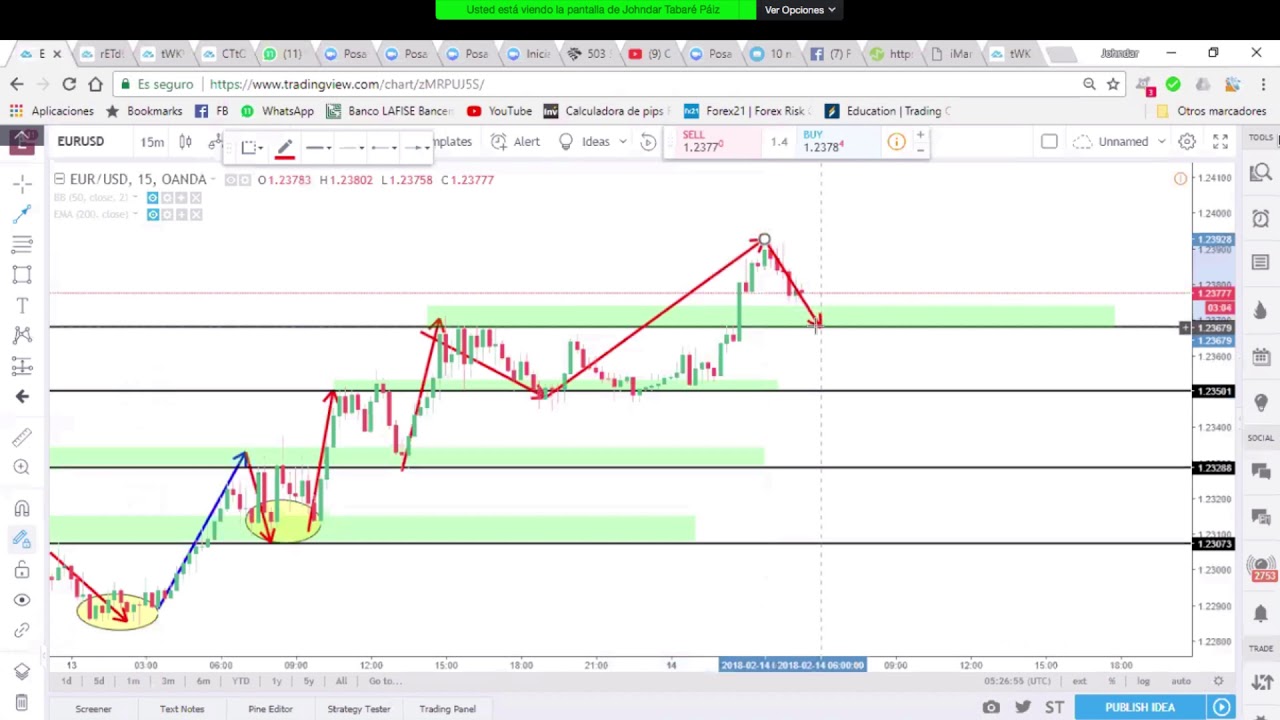 Como Hacer Entradas Ganadoras En Forex - 