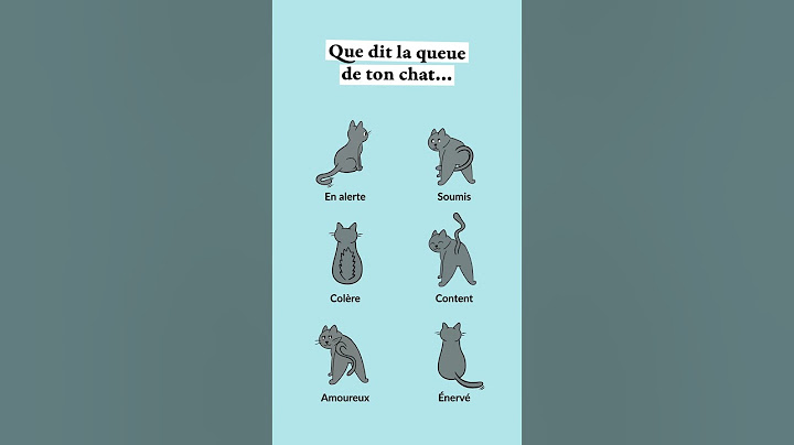Les significations du mouvement de la queue de ton chat... 🐈✨ #cattails #caats #chat