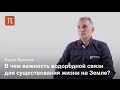 Водородная связь и жидкости на Земле — Вадим Бражкин