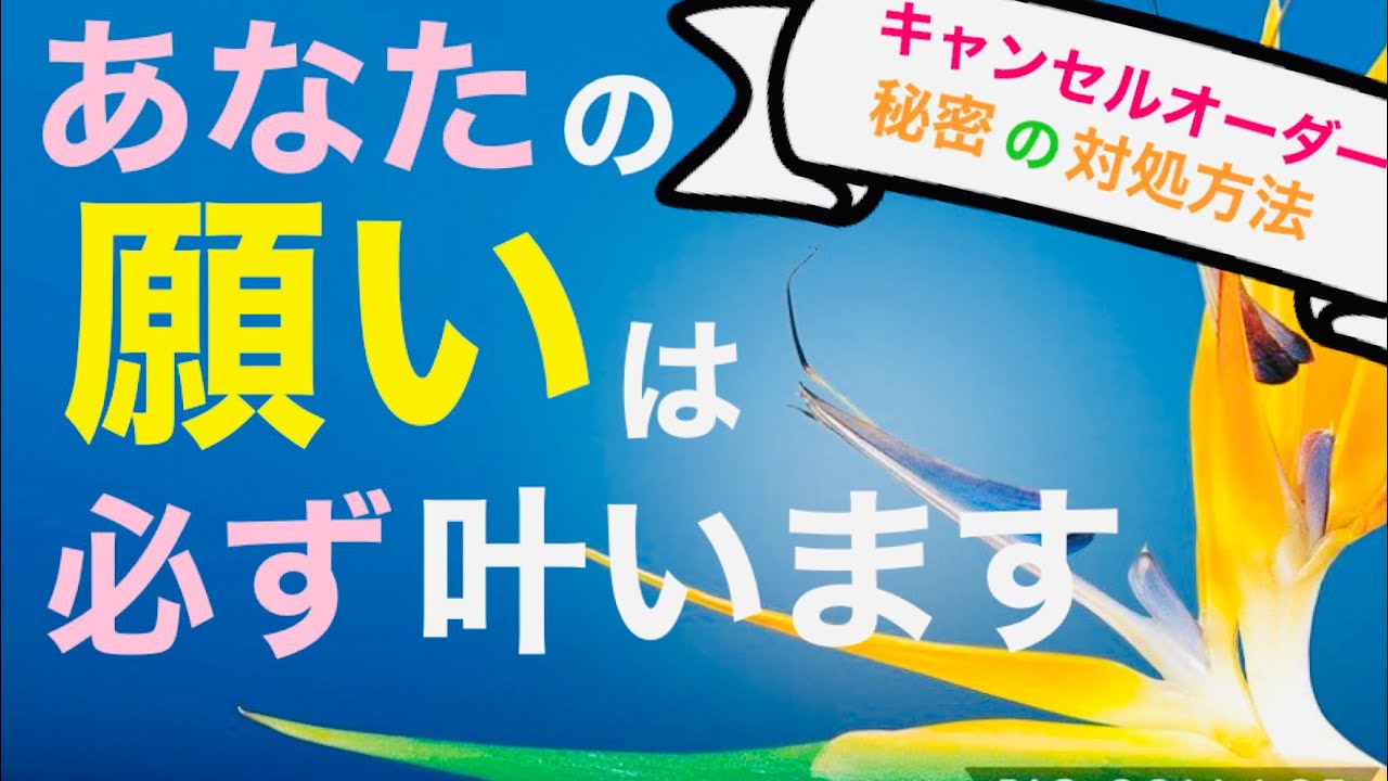 願いを叶えたいならやってみてー キャンセルオーダーへの対処法 Youtube