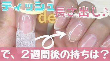 ネイル ティッシュ 長さだし
