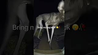 RIP Sprinkles😔🫀