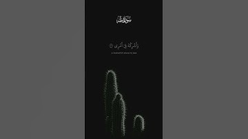 #quran #قرآن #شريف_مصطفى #سورة_طه
