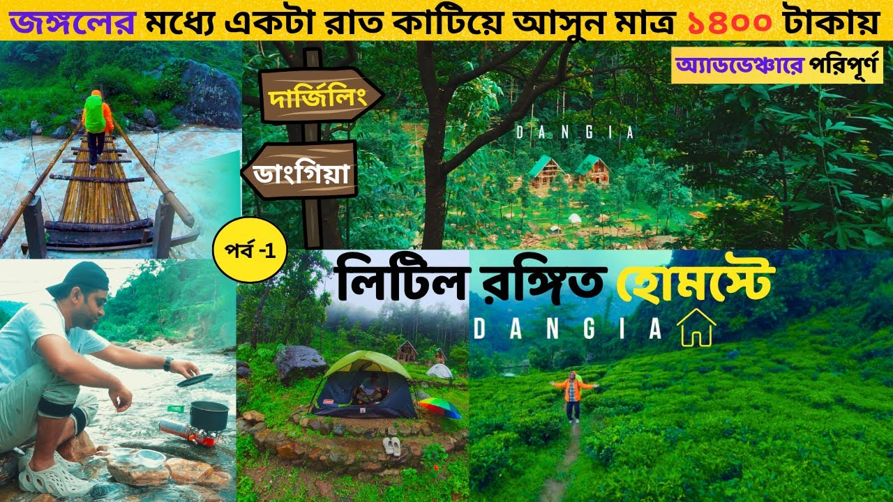 দার্জিলিংয়ের একটা গোপন হোমস্টে  | Danggia Little Rangit Homestay & Camping (Bijanbari) | Riverside