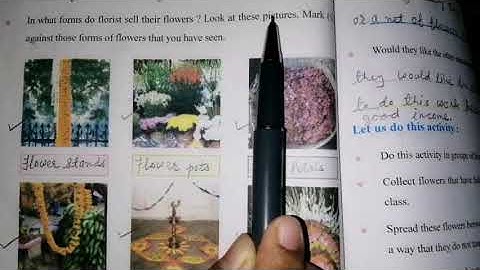 Standard IV /Environment /Looking Around /NCERT /Chapter-11 /In the Orchard /Part-2