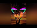 Alan Walker Spectre Force X Elektronomia Sky High Energy Mashup