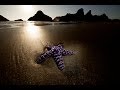 Creative Beach Photography: You Keep Shooting with Bryan Peterson: Adorama Photography TV