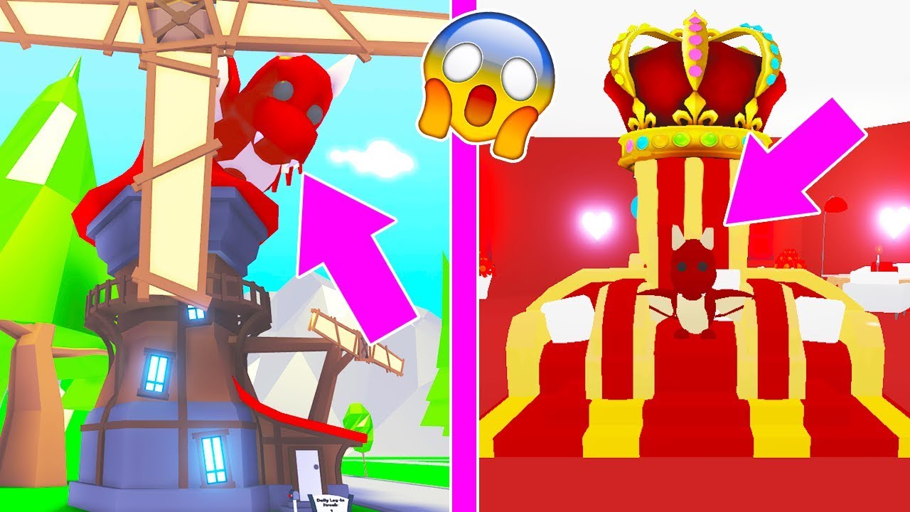 I Bought A Huge Dragon Castle In Adopt Me Roblox Youtube - i bought a huge dragon castle in adopt me roblox