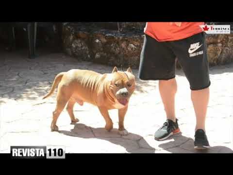 revista semana Sábado Agropecuario 7 4 18 Sigfredo Frías