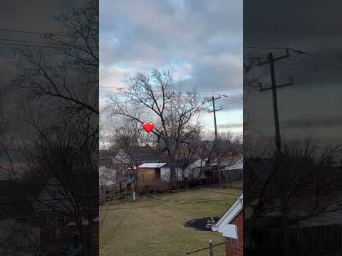 ولع ولع نور الزين