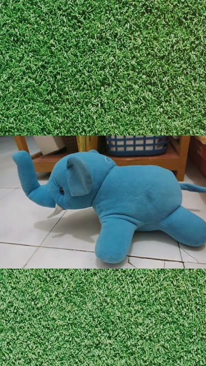 The Baby Elephant’s Last Breath