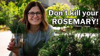 ROSEMARY GROWING GUIDE: Planting, Growing \& Propagation