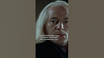Is Dobby REALLY free? #HarryPotter #Dobby #LuciusMalfoy