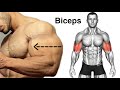 Biceps exercises to get a big arm