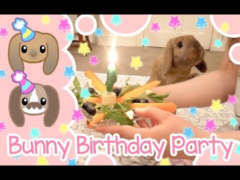 bunny-birthday-party!!!-|-peachie-buns