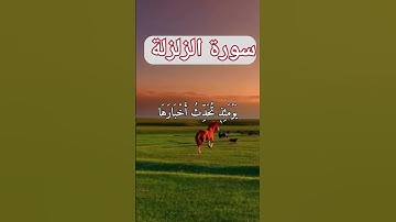 سورة الزلزلة بصوت ياسر الدوسري #ياسر_الدوسري #quran #القرآن_الكريم #ماهر_المعيقلي #yasseraldossary