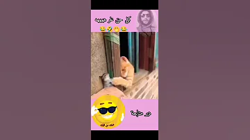 أولد عمي قلبي خرج 