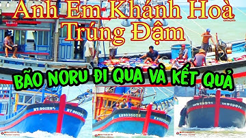 🔴 Cận Cảnh Quay Ghe Khánh Hoà  || Cà Ná Trúng Đậm Cá Cơm Về Cảng Lagi