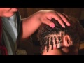 Quick How To: Comb Twists (Requested)
