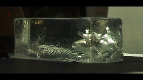 Aimed Research - Cutting Edge Bullets Fragmentation Pattern In Clear Ballistics Gel 5,000fps