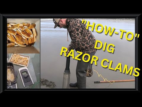 FHN How To Dig Razor Clams 