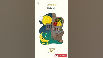 Dop 2 Level 216 Find a pair Walkthrough