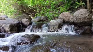 River Sounds for Relaxing, Focus or Deep Sleep | Nature White Noise | 2 Hour Video