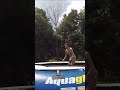 Water Trampoline Flip!!
