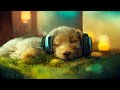 11 hour lofi dog pet therapy music lofi  calming music for studying  pet separation anxiety