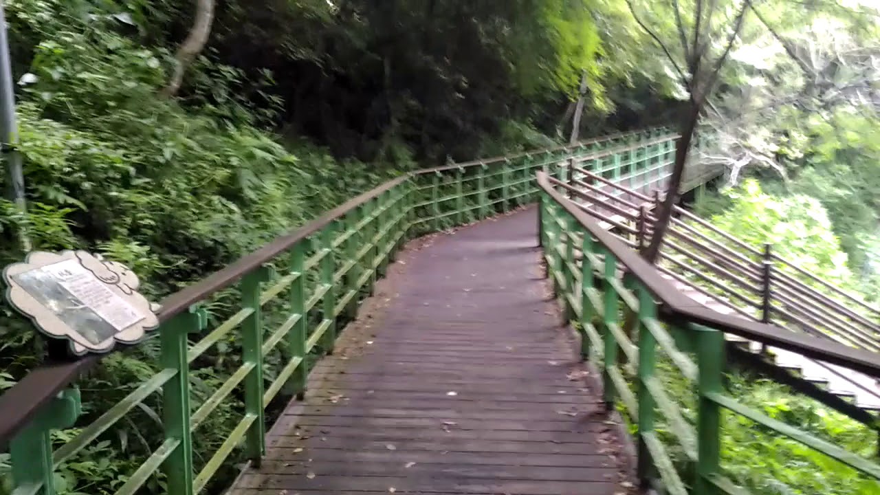 南投清境櫻花步道 1739 1019 Youtube