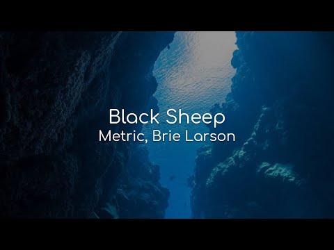Black Sheep -