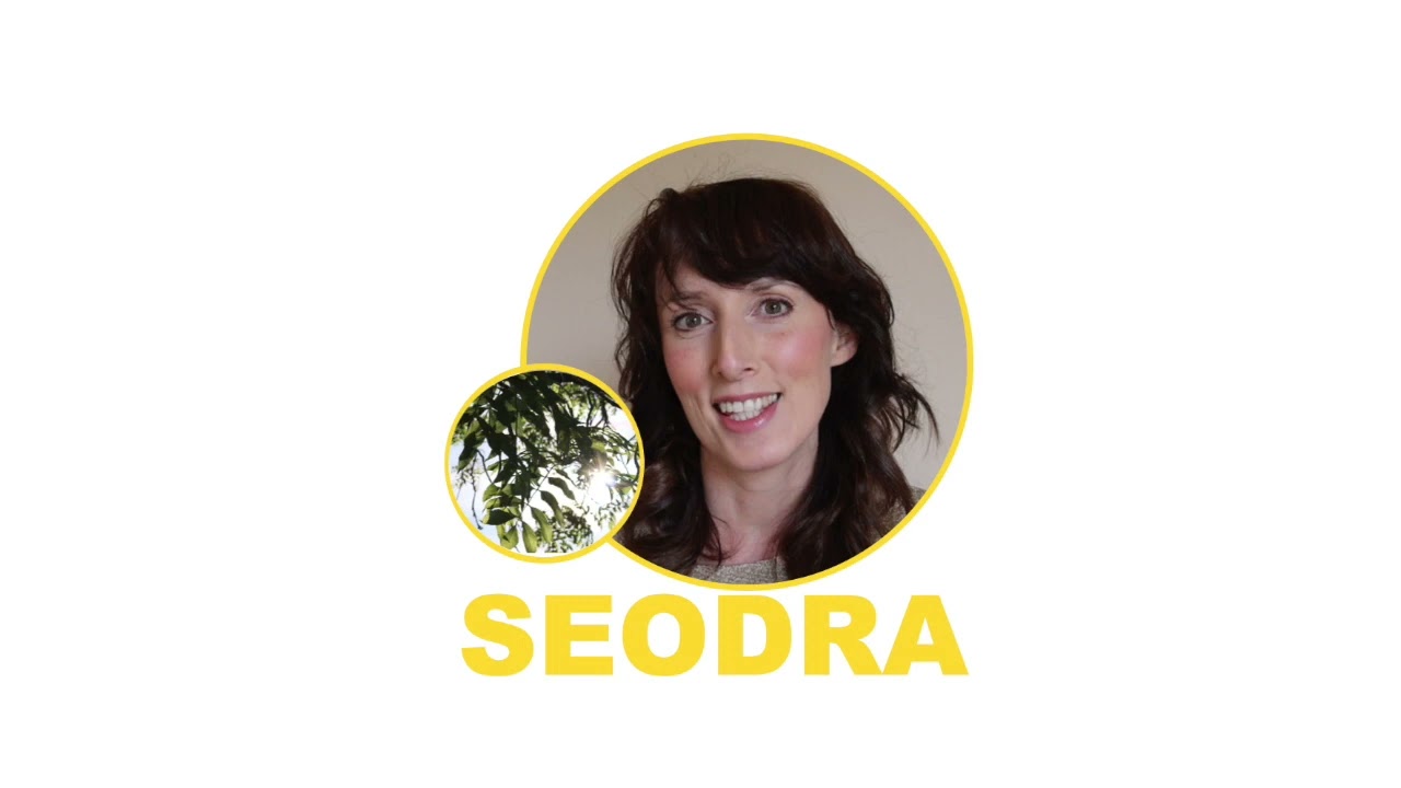Learn Irish with Seodra: Fuinseog ~  The Ash Tree