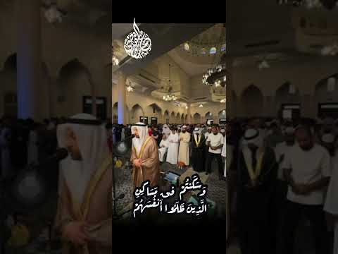 اللهم ارزقني عينًا تبكي من خشيتك 😢 | تلاوة خاشعة مؤثرة بصوت القارئ عمرو القاضي