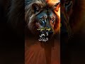 وقفت امام مرآتي وقد بانت علي خساراتي وقفت امام مرآتي وقد بانت علي خساراتي