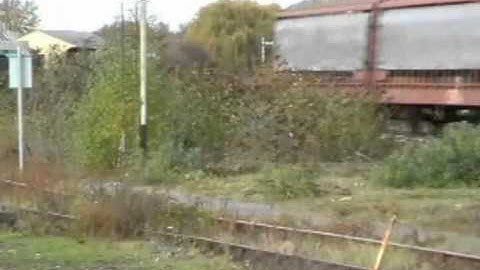 EWS and Freightliner class 66