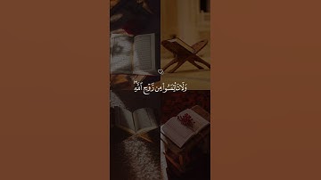 سورة يوسف 💙 #قرآن #دويتو #حاله_واتس_اب #حالات_واتس #اكسبلور #لايك