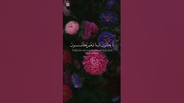 #آيات #اكسبلور #المصحف #اسلام #راحة_نفسية #رمضان #عبد_الرحمن_مسعد #سورة #الفرقان