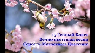 Активация 25.06.23 - 15 ГК - Вечно цветущая весна
