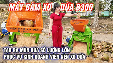 Máy Băm Xơ Dừa B300 Bình Quân - Tạo Ra Mùn Dừa Số Lượng Lớn Phục Vụ Kinh Doanh Viên Nén Xơ Dừa