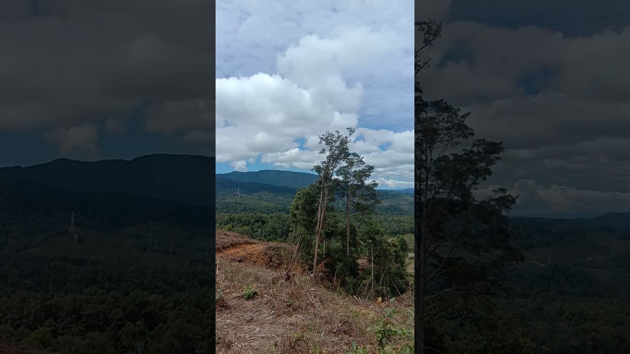 Pemandangan 