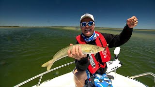 IFISH  MONSTER King George Whiting on Plastics!