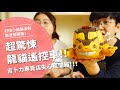 超驚悚龍貓遙控車！！  吉卜力專賣店失心瘋開箱！【腦波弱開箱】EP57