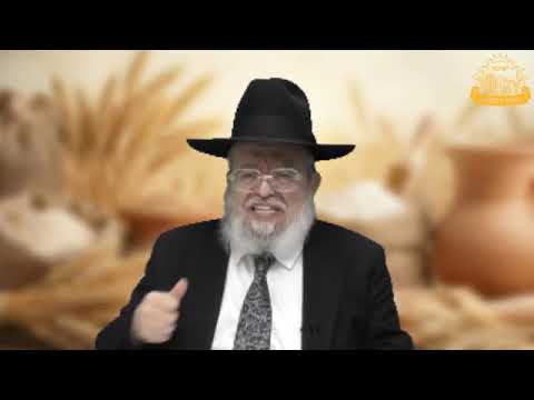 דף היומי בחצי שעה – מסכת מנחות דף צ”א