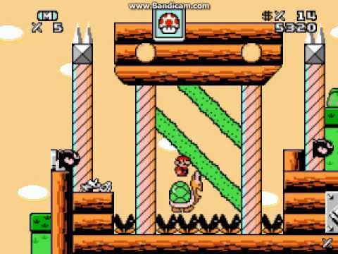 super mario bros 3 world 5 castle secret