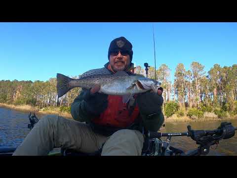 Trolling for Trout and JINS Sunglasses
