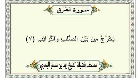الشيخ زيد البحري Quran سورة الطارق