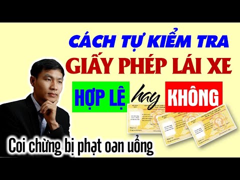 hình ảnh kiểm tra thông tin bằng lái xe