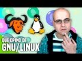 Qué opino de GNU/Linux - #OpiniónDeInformático - La red de Mario
